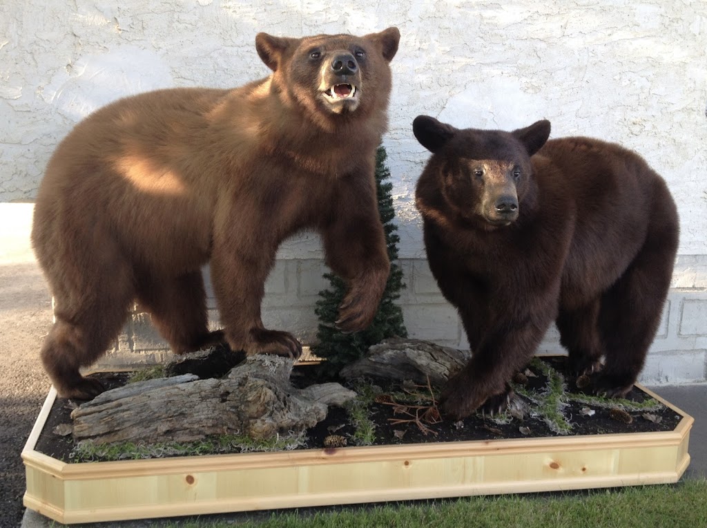 Extreme Taxidermy | 10379 109 Ave, Westlock, AB T7P 1G8, Canada | Phone: (780) 349-5412