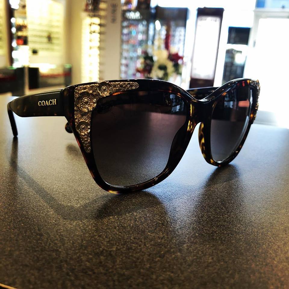 Blink Visioncare | 7920 Hurontario St #42, Brampton, ON L6Y 0P7, Canada | Phone: (289) 752-8833