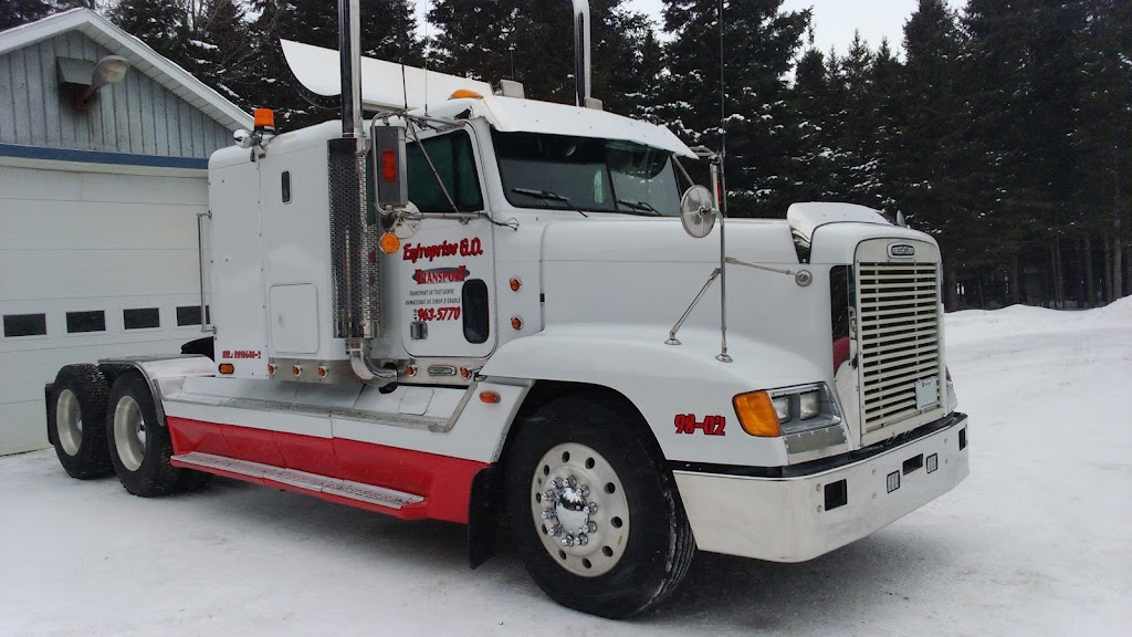Entreprise GO Transport | 108 Rang Grande-Ligne, Saint-Clément, QC G0L 2N0, Canada | Phone: (418) 963-5770