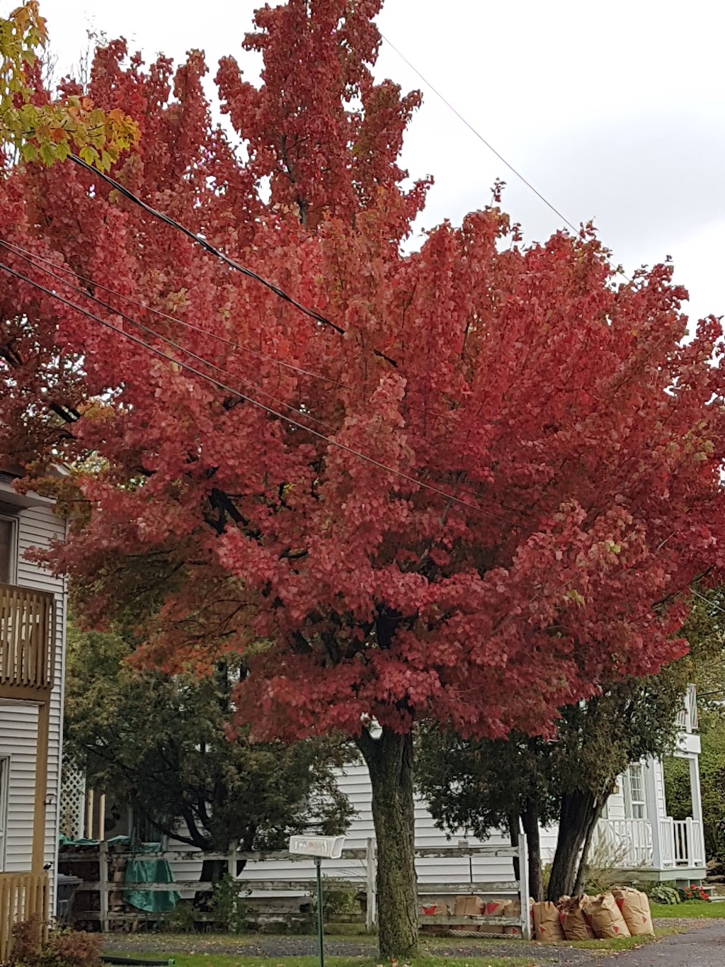 Émile-Asselin Park | 47-55 Rue Sauvé, Les Coteaux, QC J7X 1L8, Canada