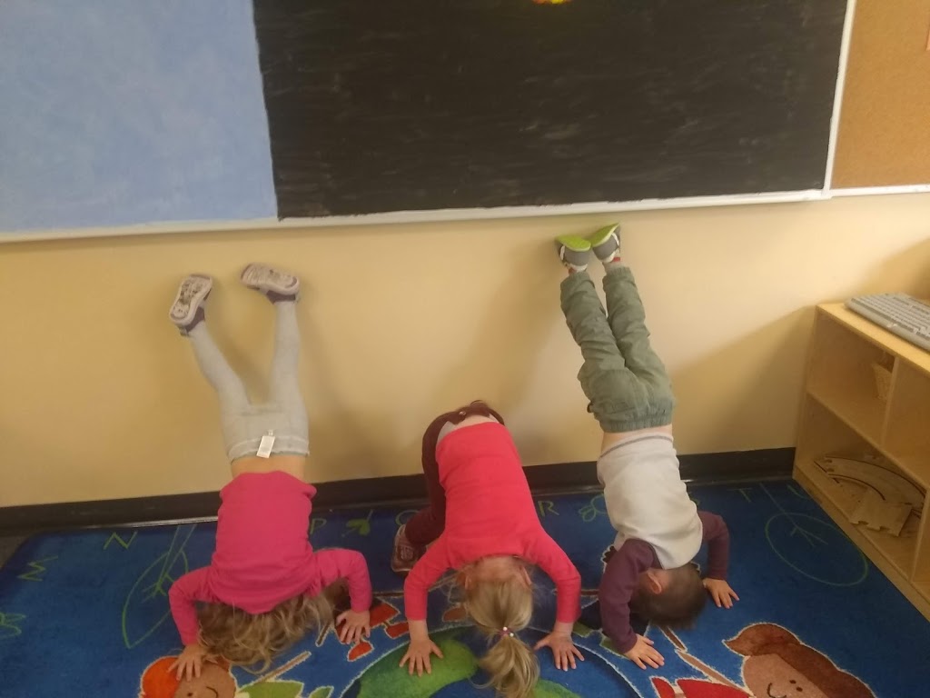 Centre De La Petite Enfance - Rive Sud | 20 Ch Petite Évangéline, Pine Grove, NS B4V 8A3, Canada | Phone: (902) 527-2741