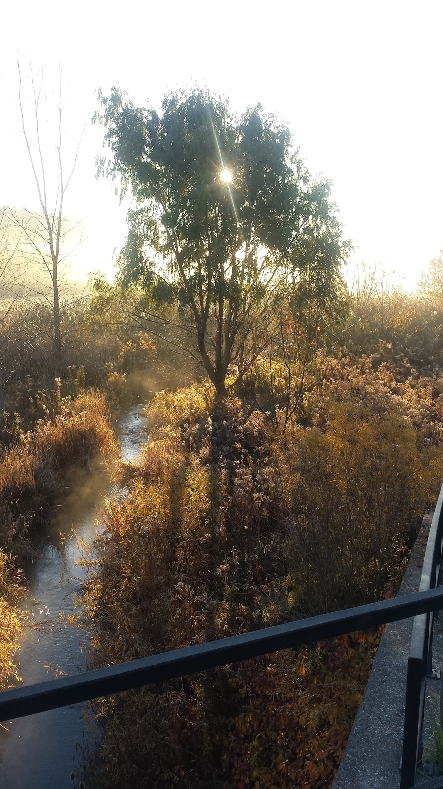 Taquanyah Conservation Area | 429 Decewsville Rd, Cayuga, ON N0A 1E0, Canada | Phone: (905) 768-3288