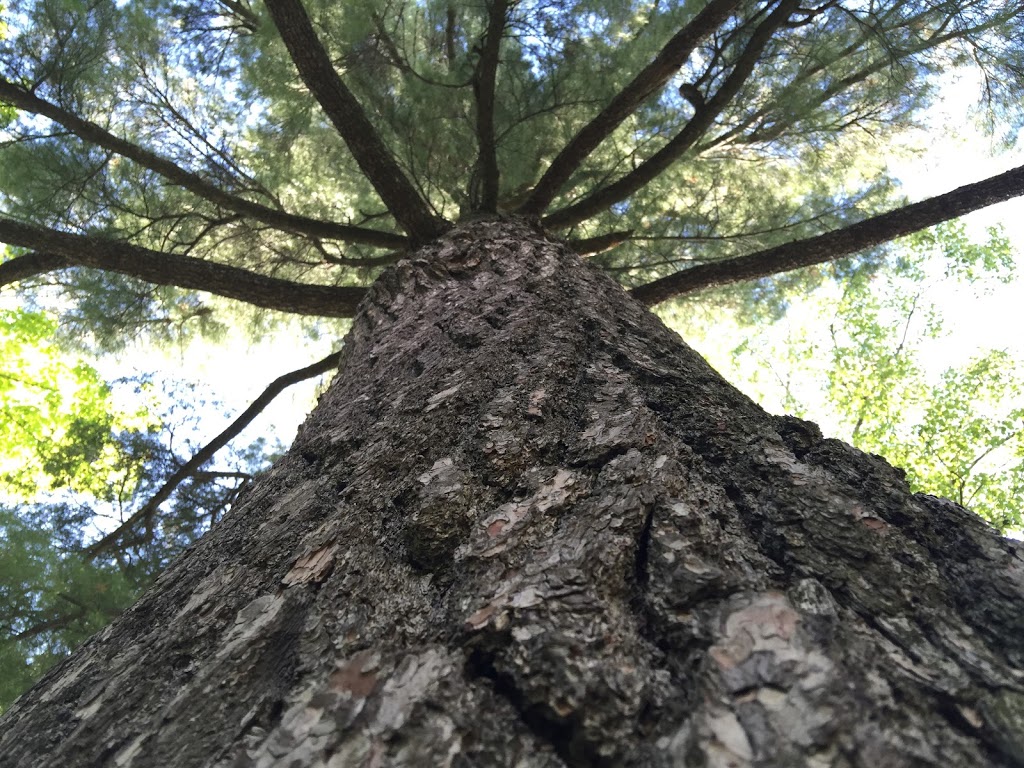 Parc Hooper | Grand-Mère, Shawinigan, QC G9T, Canada