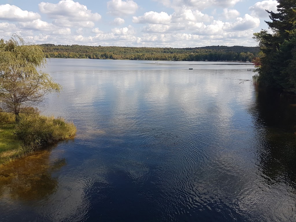 Clansman Motel & Cottages | 16457 HWY35, Algonquin Highlands, ON K0M 1J1, Canada | Phone: (705) 489-2330