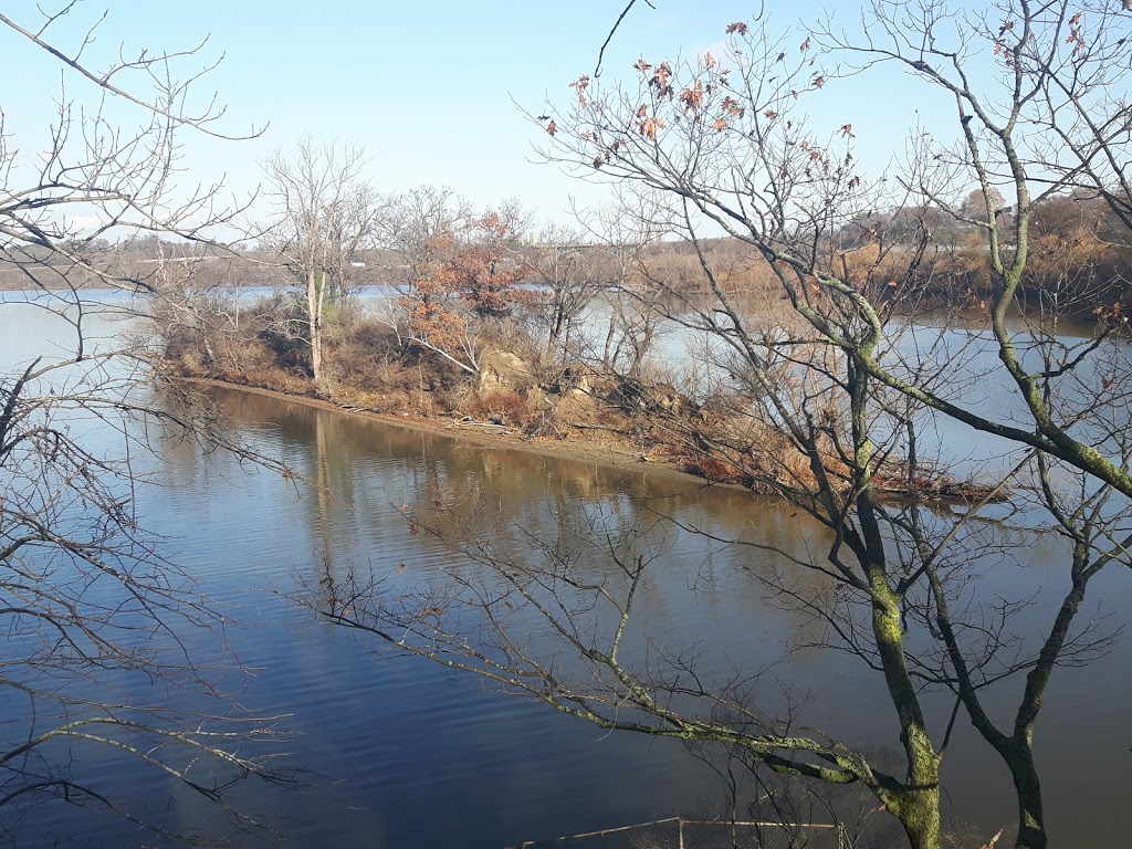 Sassafras Point Lookout | Sassafras Point Trail, Hamilton, ON L8S 4E9, Canada