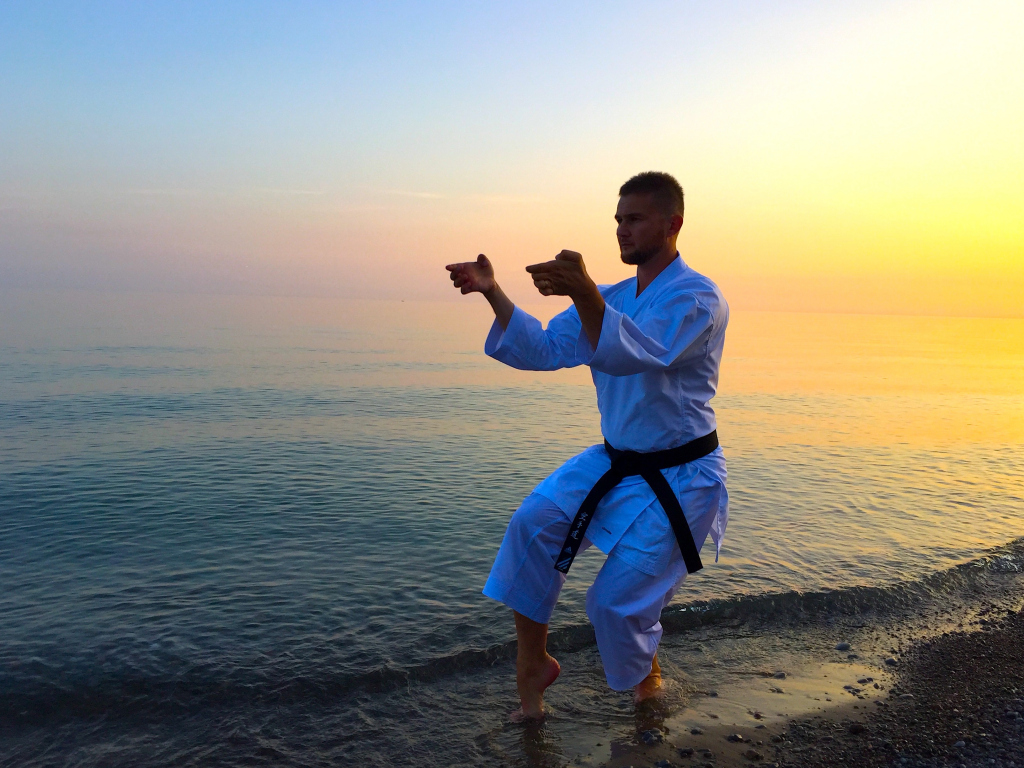 Martial Arts School Pickering | ChampionsDojo.com | L1V0B2, building A, unit 101, 550 Finch Ave, Pickering, ON L1V 0B2, Canada | Phone: (416) 996-0759