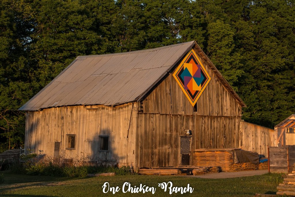 One Chicken Ranch | 63 Balm Beach Rd E, Tiny, ON L0L 2J0, Canada | Phone: (705) 526-5924