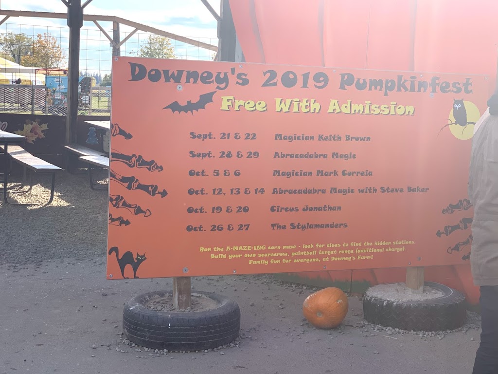 Downeys Estate Winery Ltd | 13682 Heart Lake Rd, Inglewood, ON L7C 2J5, Canada | Phone: (905) 838-2990