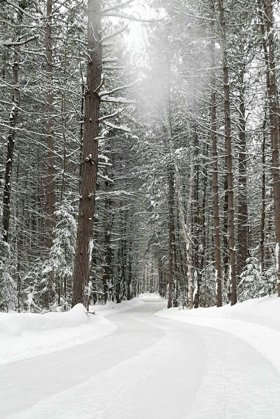 LV Four Seasons Trail | 2 Henan Rd, Pembroke, ON K8A 6W8, Canada | Phone: (613) 735-6291