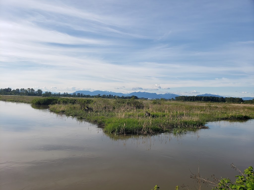 Mcneeleys Trail | 5011 River Rd, Delta, BC V4K 4V9, Canada