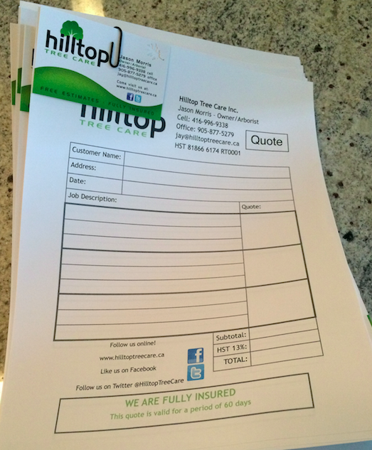 Hilltop Tree Care | 112 Guelph St, Georgetown, ON L7G 4T1, Canada | Phone: (905) 877-5279