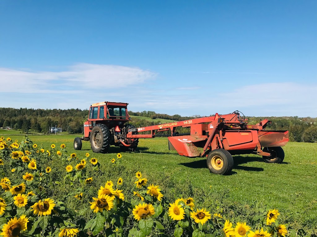 Dakeyne Farm | 1137 Nova Scotia Trunk 1, Falmouth, NS B0P 1L0, Canada | Phone: (902) 790-0542