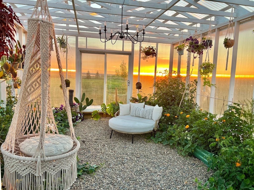 Wildflower Greenhouse Studio | 182042 Rge Rd, 182024 Range Rd 142 #142, Newell County No. 4, AB T1R 1C6, Canada | Phone: (403) 376-2085