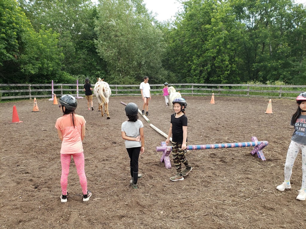 Horse Therapy Centre of Canada | 246 Webb Rd, Whitchurch-Stouffville, ON L4A 7X4, Canada | Phone: (647) 390-5397