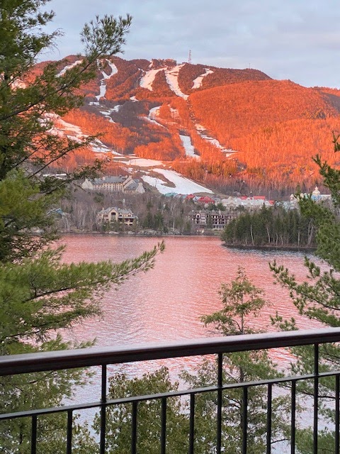 Josée Legault Real estate Mont-Tremblant immobilier | 511 Rue de Saint Jovite, Mont-Tremblant, QC J8E 2Z9, Canada | Phone: (819) 429-4009