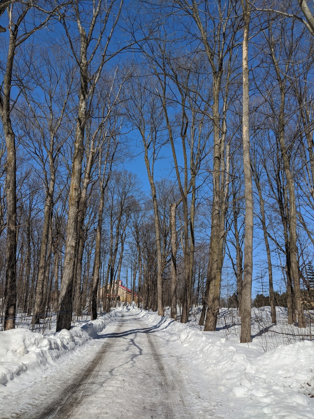 Cabane A Sucre Constantin | 1054 Boulevard Arthur-Sauvé, Saint-Eustache, QC J7R 4K3, Canada | Phone: (450) 473-2374