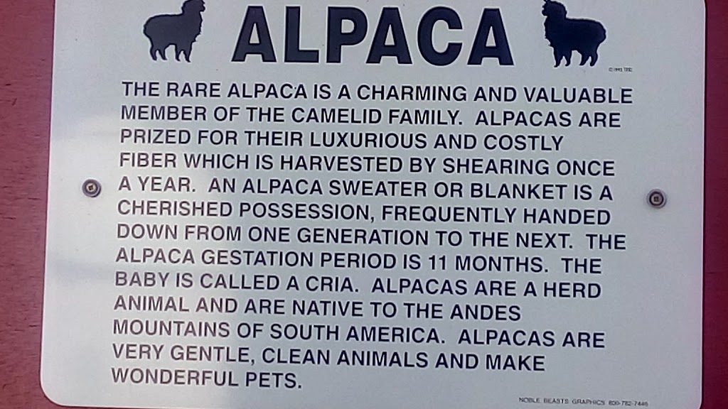 Alpaca Farm BC | 3450 Kingburne Dr, Cobble Hill, BC V0R 1L0, Canada | Phone: (250) 743-7177