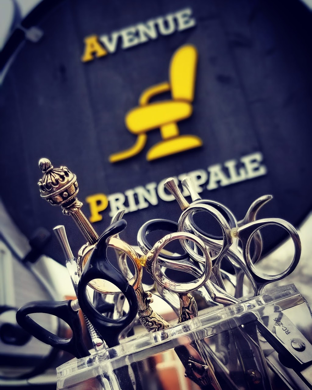 Avenue Principale | 344 Rue Principale, Saint-Donat-de-Montcalm, QC J0T 2C0, Canada | Phone: (819) 419-0099