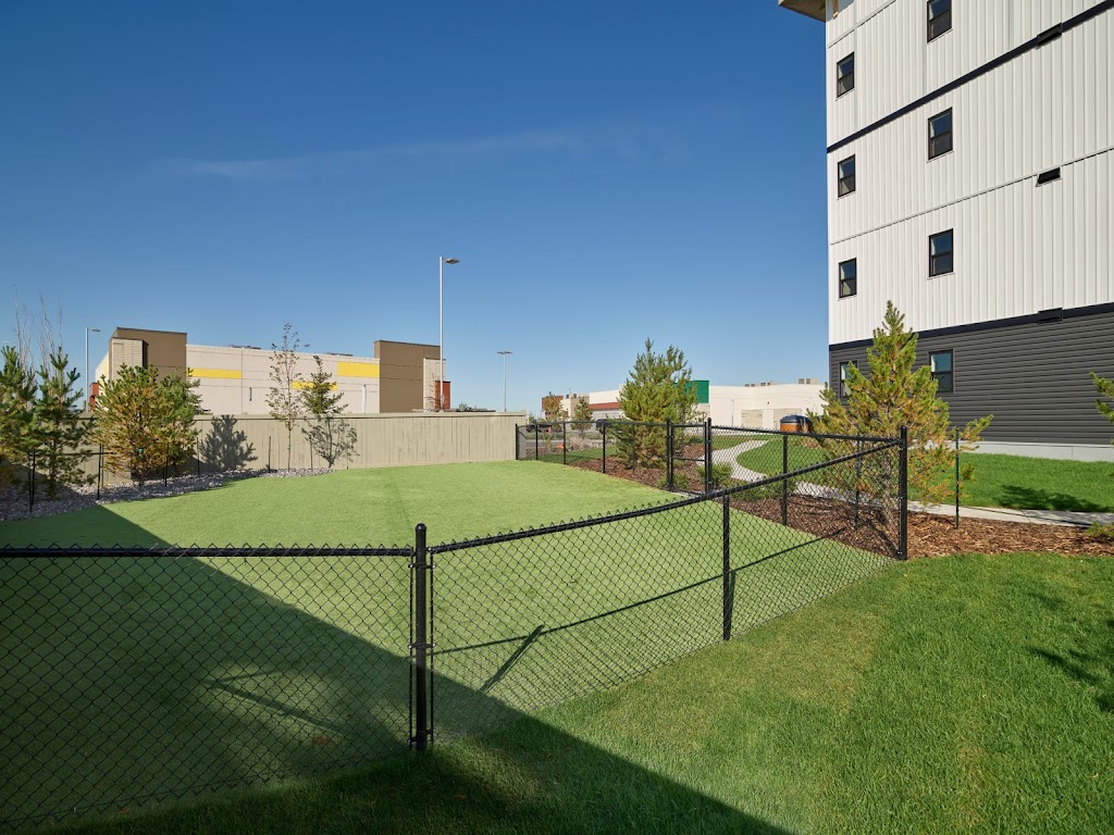 Aloft Tamarack | 1506 Tamarack Blvd NW, Edmonton, AB T6T 2J5, Canada | Phone: (587) 200-3122