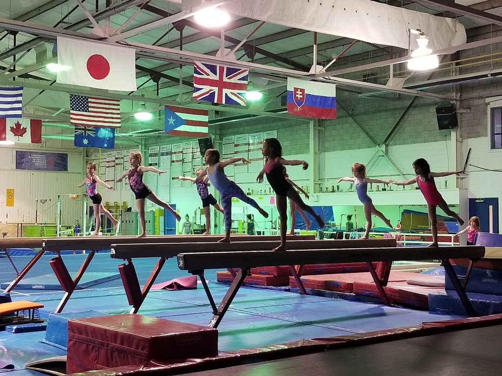 Gemini Gymnastics | 1000 Stevenson Rd N, Hangar #3, Oshawa, ON L1J 5P5, Canada | Phone: (905) 576-2164