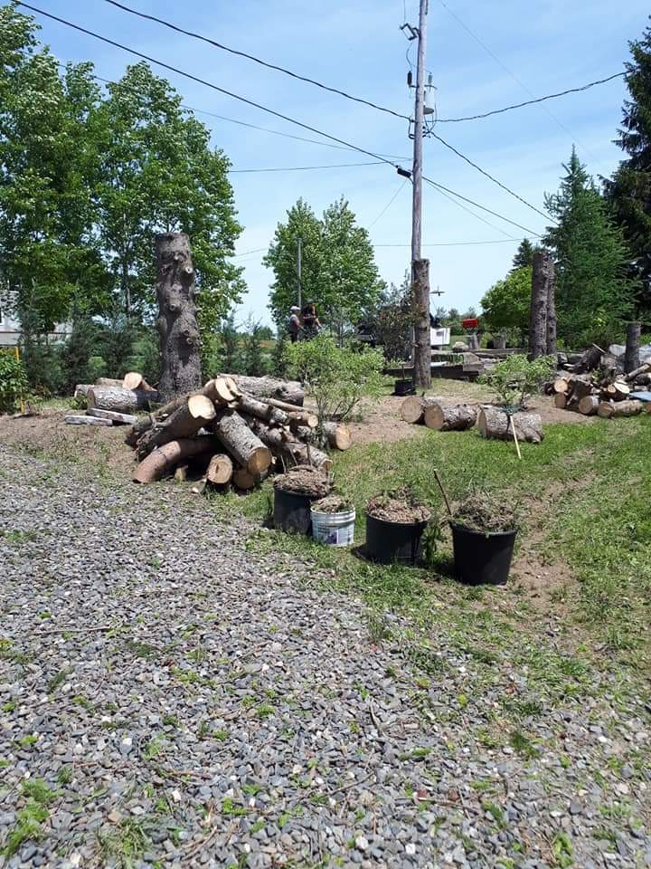 Entreprises Forestière Mercier | 5223 QC-214, Nantes, QC G0Y 1G0, Canada | Phone: (819) 214-3533