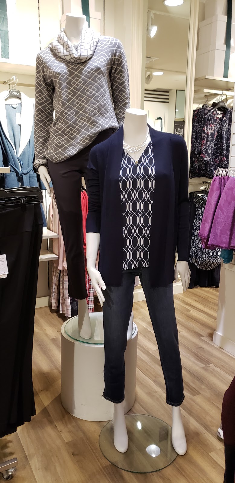 Cleo | 999 Upper Wentworth St Unit 169A, Hamilton, ON L9A 4W5, Canada | Phone: (905) 385-3355