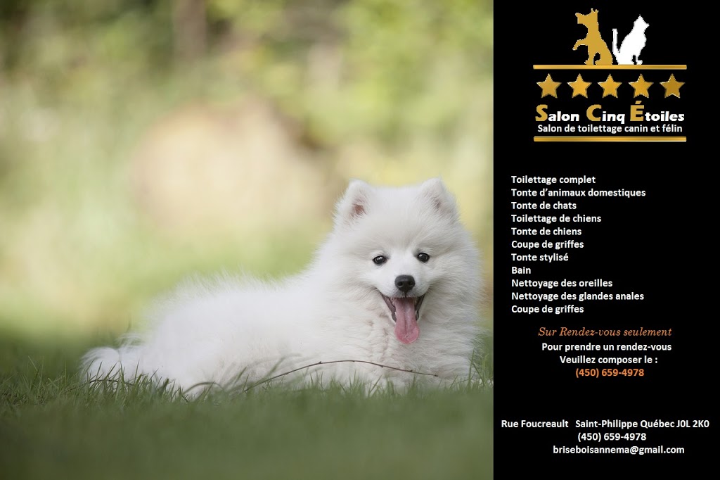 Salon de Toilettage Cinq Etoiles | Rue Foucreault, Saint-Philippe, QC J0L 2K0, Canada | Phone: (450) 659-4978