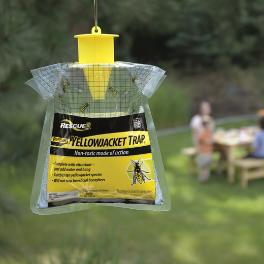 Old Island Pest Control - Duncan BC Pest Control | 103-255 Ingram St, Duncan, BC V9L 1P3, Canada | Phone: (250) 715-0203
