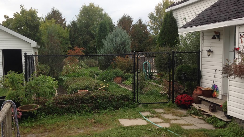 Little Creek Farm & Sanctuary | 7372 Snake Island Rd, Greely, ON K4P 1N2, Canada | Phone: (613) 913-3158