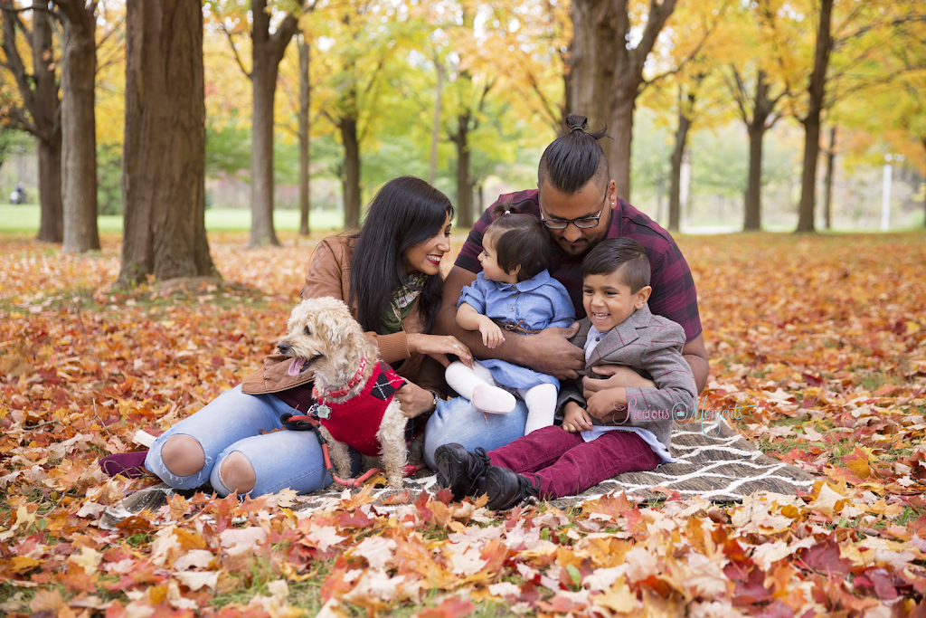 Precious Moments | Stowmarket St, Caledon, ON L7C 4C6, Canada | Phone: (647) 206-5617