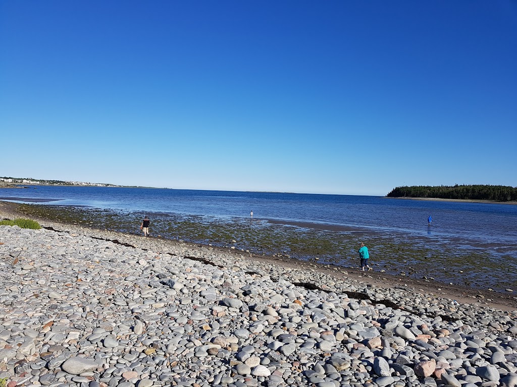 A&M Sea Charters | 87 Government Wharf Rd, Eastern Passage, NS B3G, Canada | Phone: (902) 465-6617