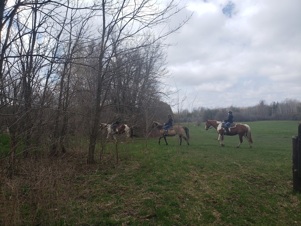 Circle J Ranch | 7900 Cooper Hill Rd, Metcalfe, ON K0A 2P0, Canada | Phone: (613) 821-2437