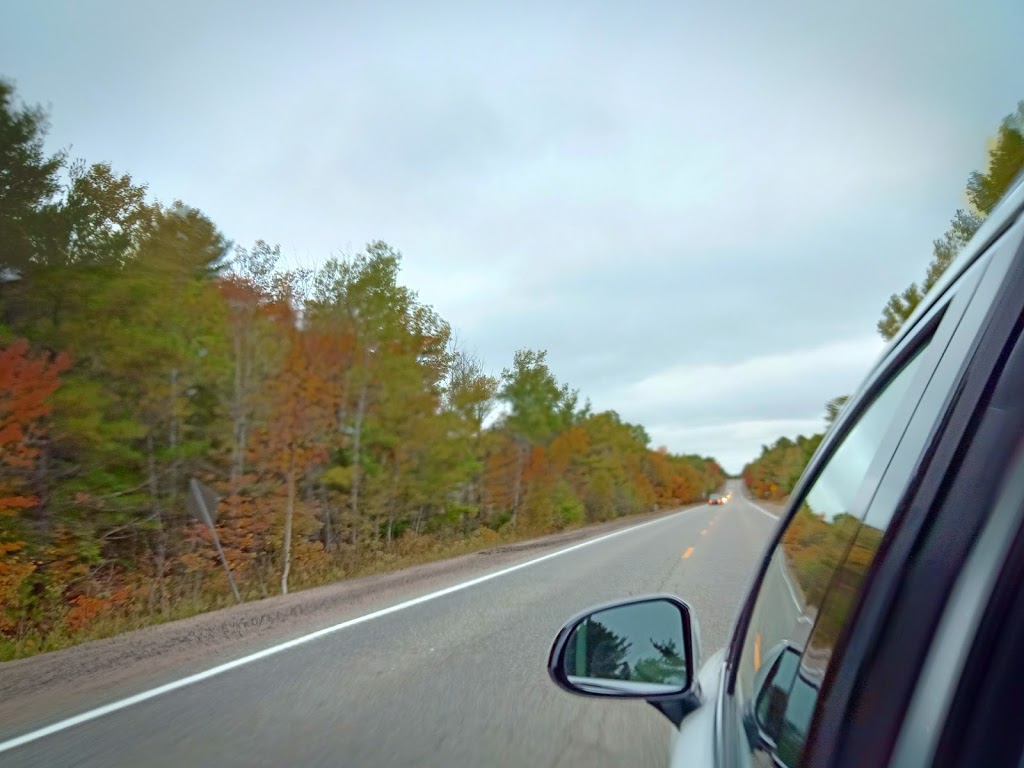 Mark Gidley, Forest Hill Real Estate Inc. Brokerage | 3125 Muskoka District Road 169, Bala, ON P0C 1A0, Canada | Phone: (705) 706-7065