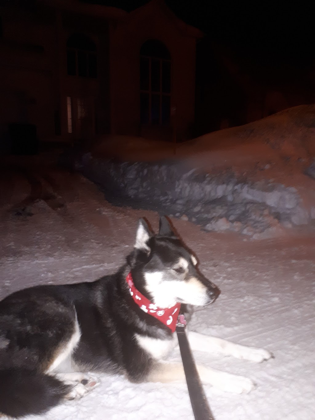 Auberge des 4 Pattes | 555 Rue Chef Thomas Martin, Wendake, QC G0A 4V0, Canada | Phone: (418) 843-6578