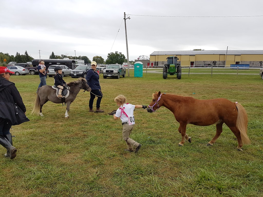 Madoc & District Recreation Centre | 45 Cooper Rd, Madoc, ON K0K 2K0, Canada | Phone: (613) 473-4206