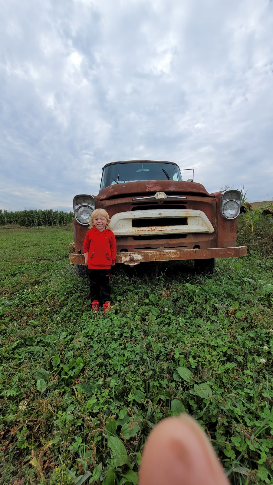 Hale’s End Farms | 14370 Hale Rd, Pitt Meadows, BC V3Y 1Z1, Canada | Phone: (604) 690-6055