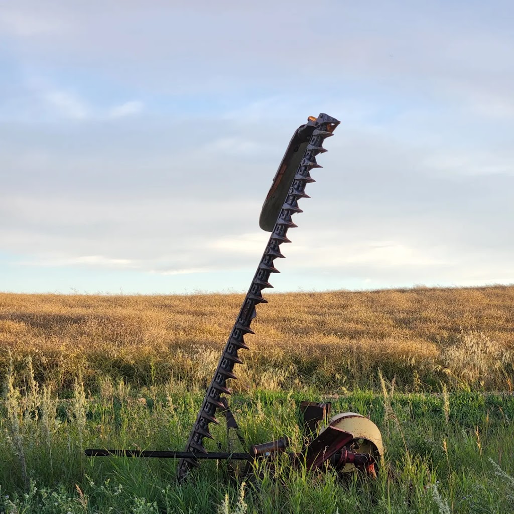 Kneehill Country Campground | RR21-3, Drumheller, AB T0J 0Y0, Canada | Phone: (403) 334-0738