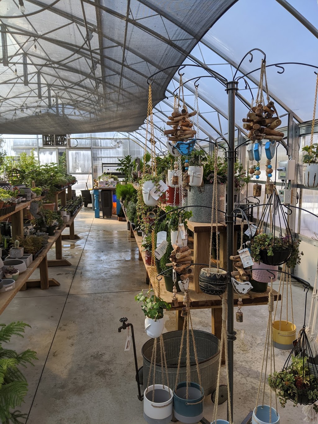 Carsons Garden + Market | 1317 Wilson Rd, Hillier, ON K0K 2J0, Canada | Phone: (613) 243-2492