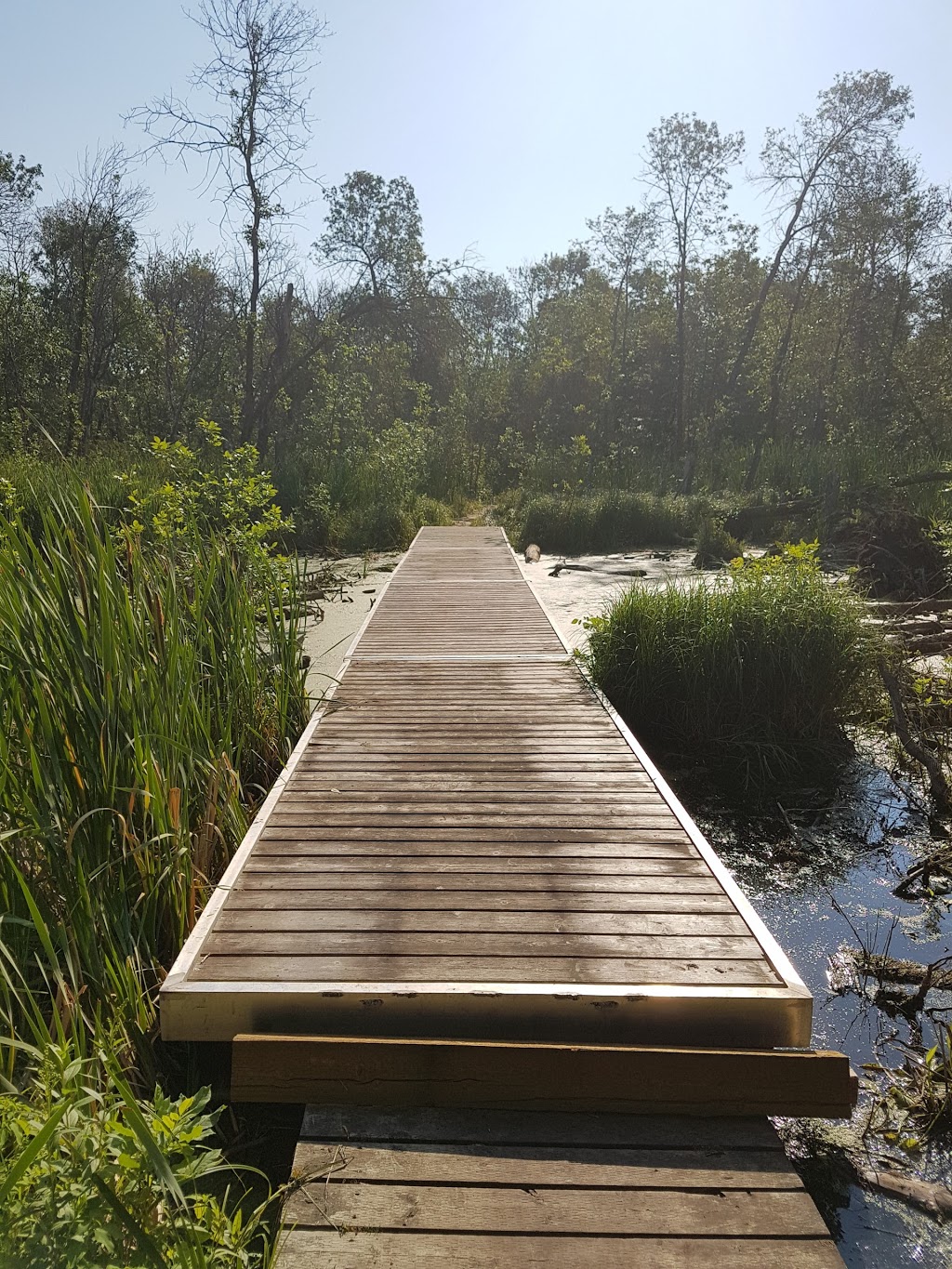 Pike Lake Nature Trail | Vanscoy No. 345, SK S0K 1K0, Canada | Phone: (306) 933-6966