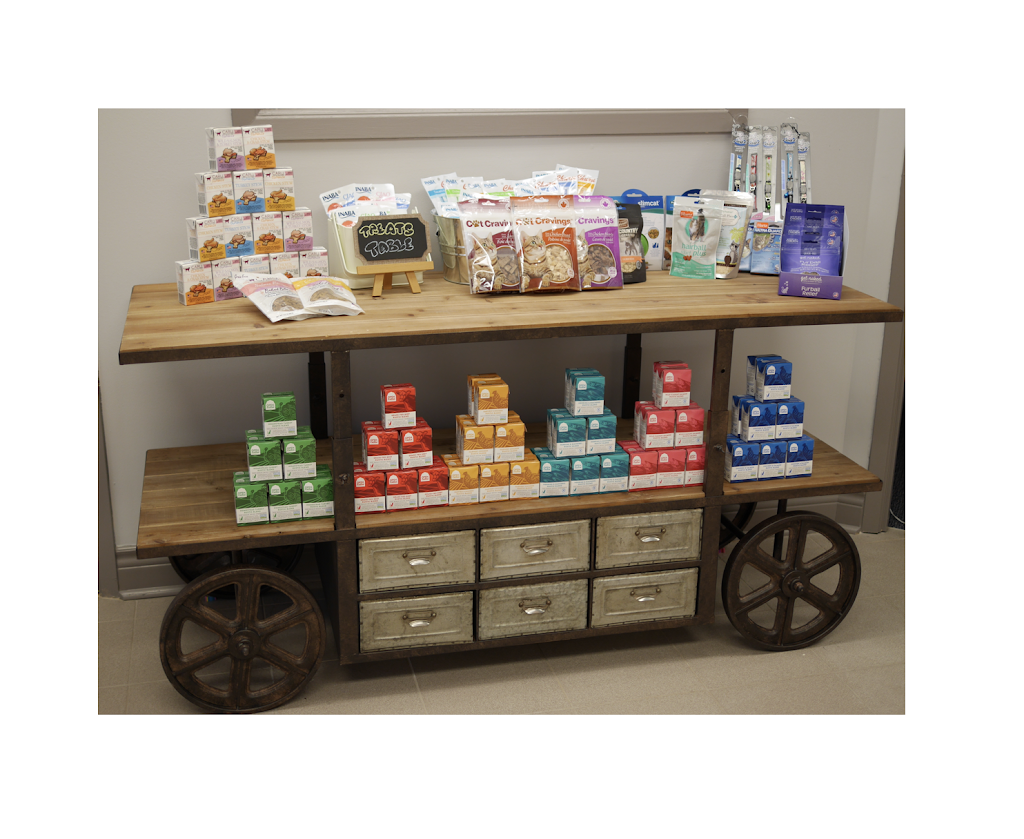 MyCatTime | 12-3075 14th Ave, Markham, ON L3R 0G9, Canada | Phone: (289) 859-4808