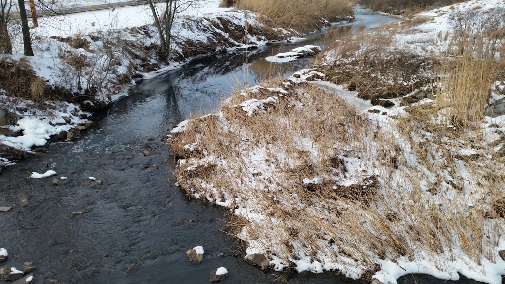 Two Mile Creek Trail | Two Mile Creek Rd, Tonawanda, NY 14150, USA