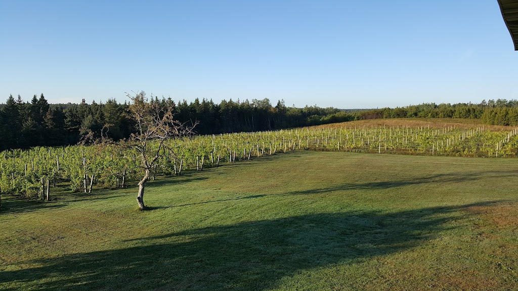 Newman Estate Winery | 2404 Gladstone Rd, Murray River, PE C0A 1W0, Canada | Phone: (902) 969-6421