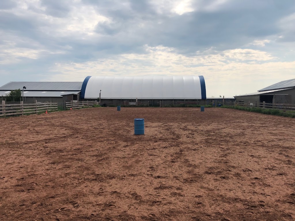 PPH Farms | 260 Maceachern Rd, Mount Herbert, PE C1B 3P7, Canada | Phone: (902) 628-7959
