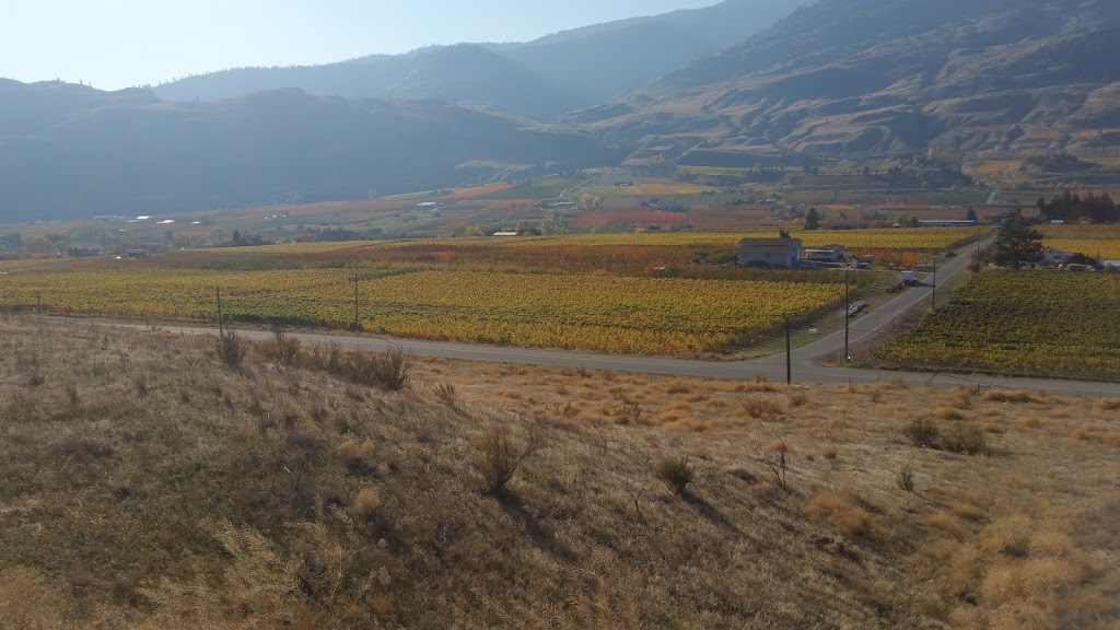 Mark Anthony Properties Ltd | Sibco Landfill Rd, Oliver, BC V0H 1T0, Canada | Phone: (250) 485-4400