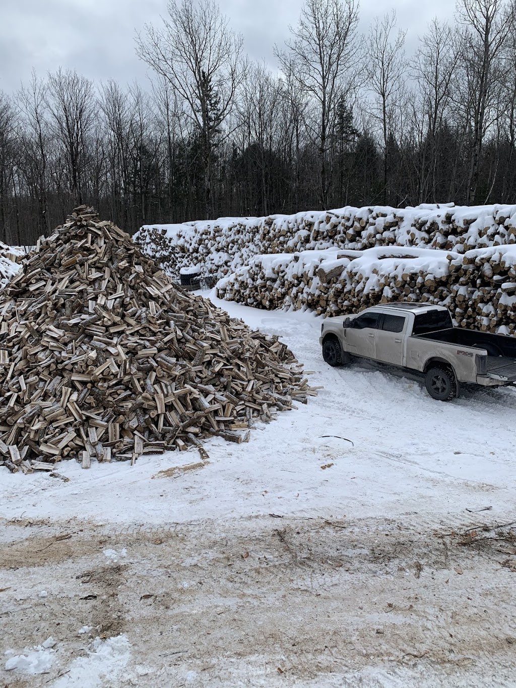 Bois chauffage dionne | Quebec City, QC G2G 2G5, Canada | Phone: (418) 933-9836