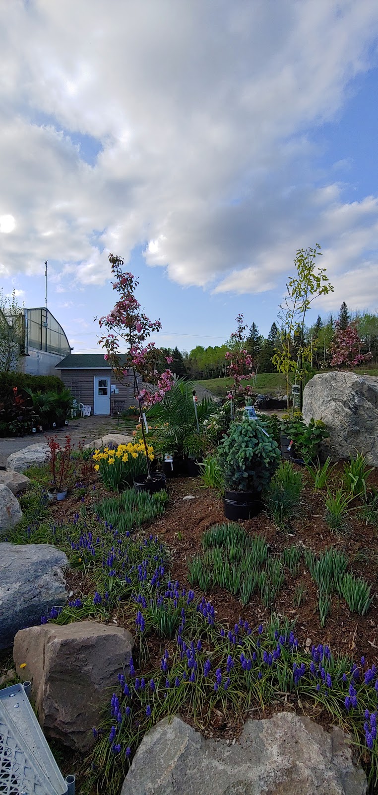 Les Serres de la Vallée (Les Herbes en Folie) | 11083 Route 117 N, Rivière-Rouge, QC J0T 1T0, Canada | Phone: (819) 275-2507
