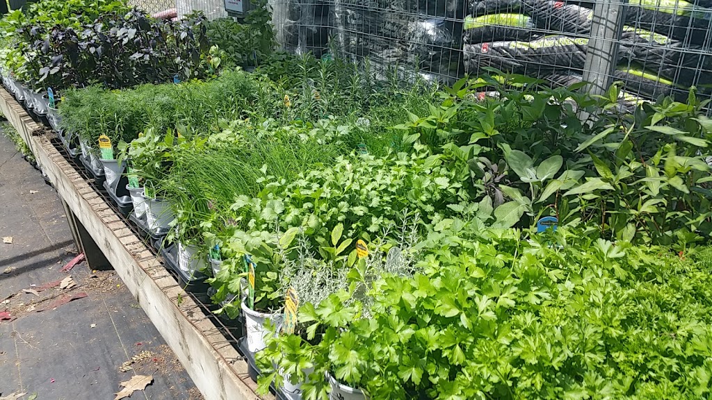 Gallaghers Farm Market | 346 Hwy 20 W, Fenwick, ON L0S 1C0, Canada | Phone: (905) 892-0698