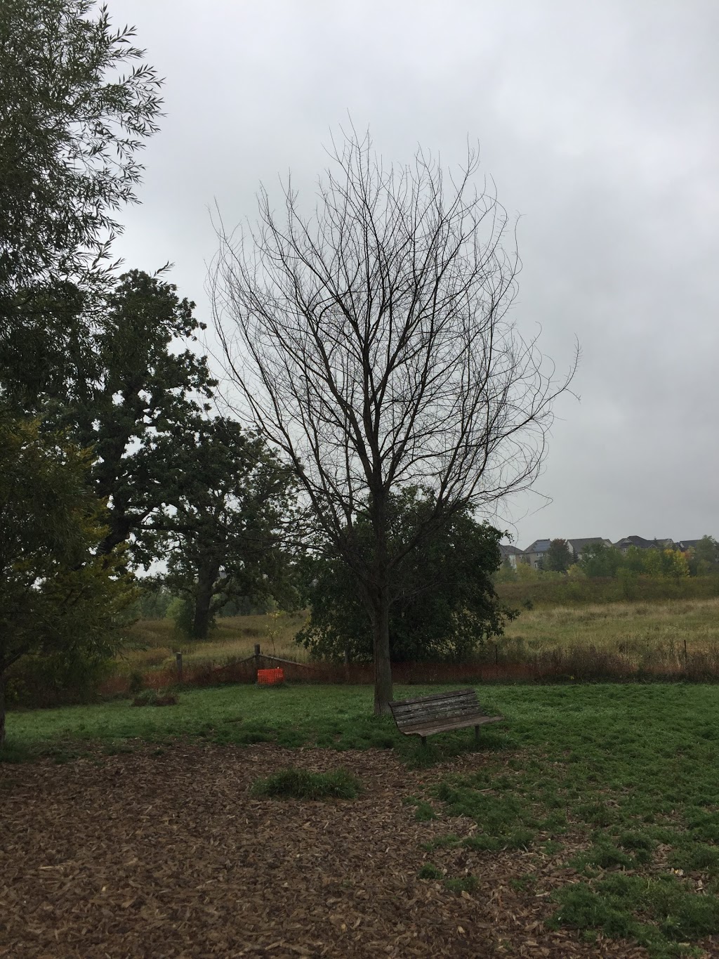 Canine Commons | Industrial Pkwy N, Aurora, ON L4G 4C4, Canada
