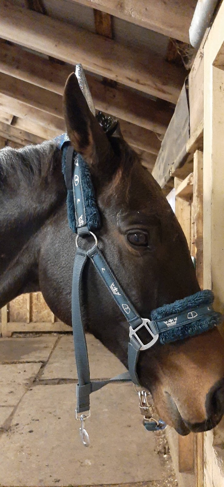 FRASER FIELD FARMS | 7661 Franktown Rd, Richmond, ON K0A 2Z0, Canada | Phone: (613) 229-0319