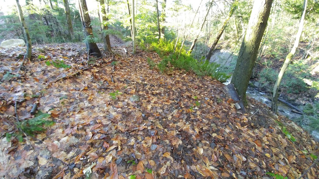 Parc J.-Marcel-Laflamme | Côte Rosemont, Trois-Rivières, QC G8Y 6J6, Canada